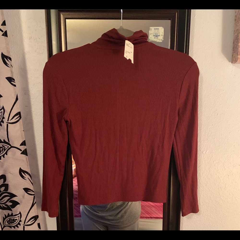 Long sleeve turtleneck crop top